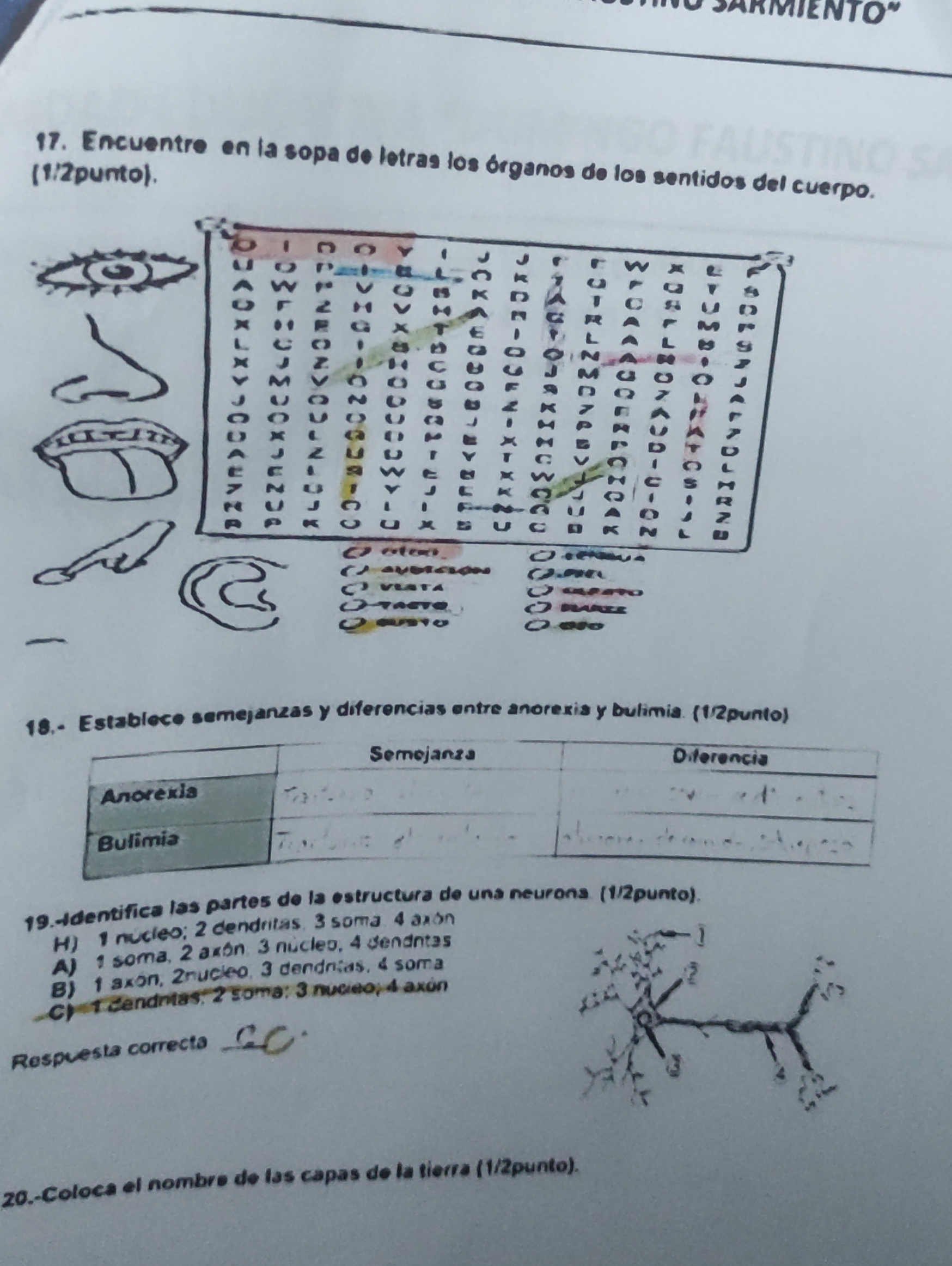 Resolver las preguntas Con la respuesta correcta