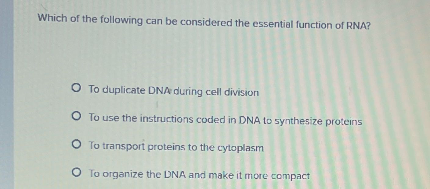 Which of the following can be considered the