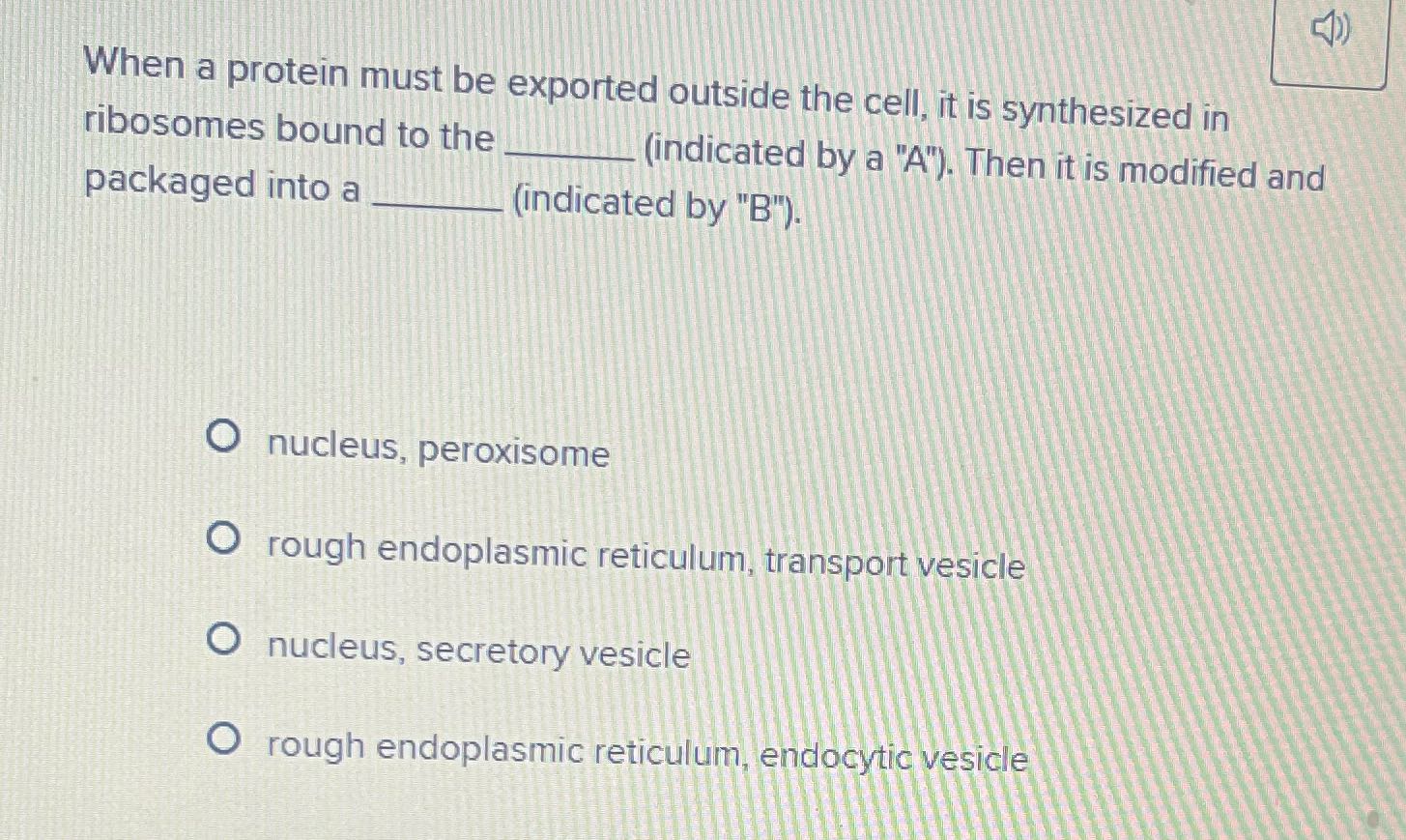 When a protein must be exported outside the cell,