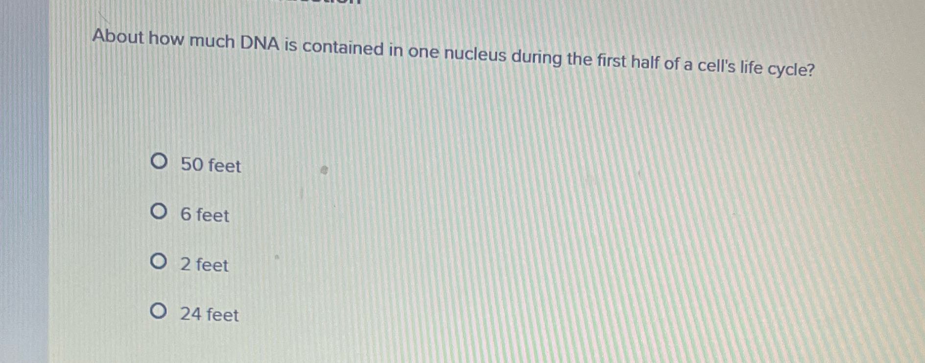 About how much DNA is contained in one nucleus