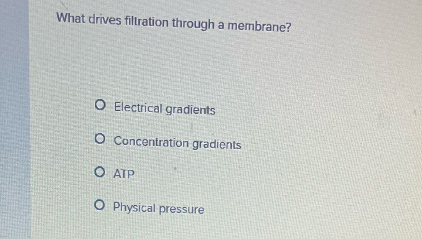 What drives filtration through a membrane? O