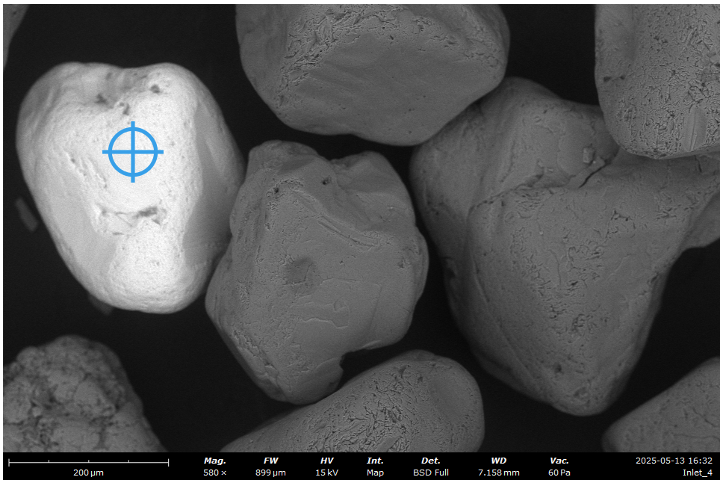 The image above from a Scanning Electron