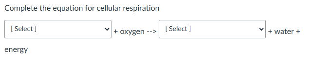 solve Complete the equation for cellular