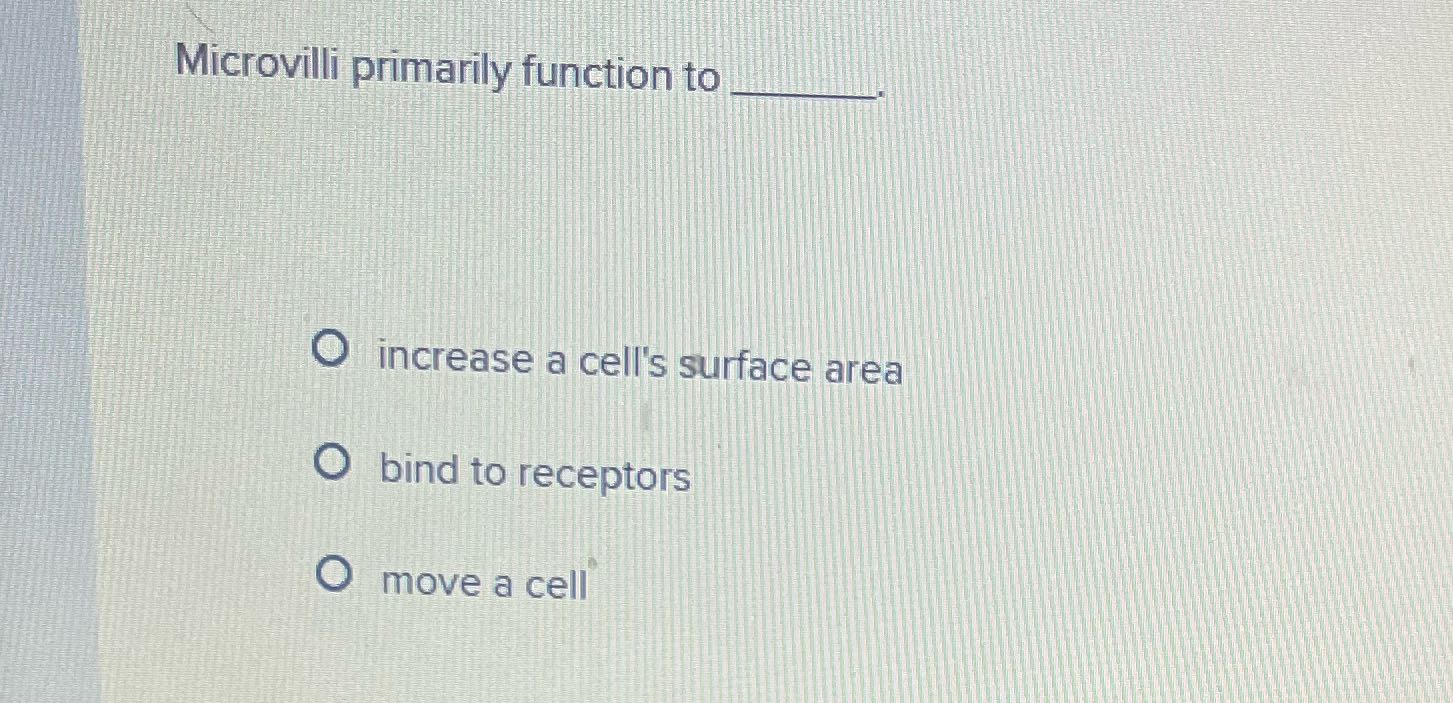 Microvilli primarily function to O increase a