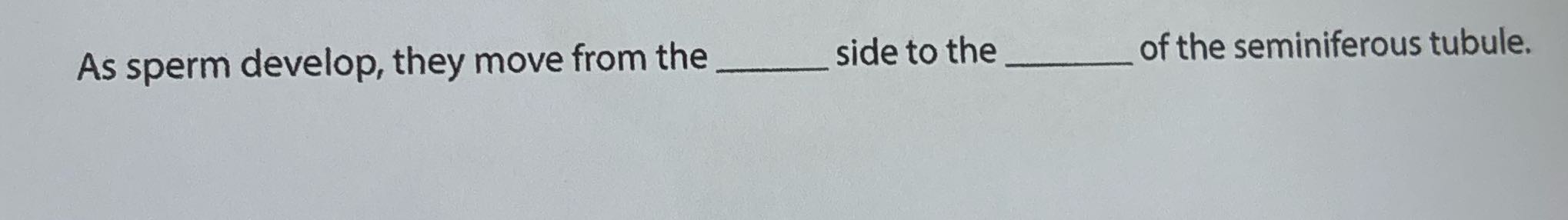 As sperm develop, they move from the side to the