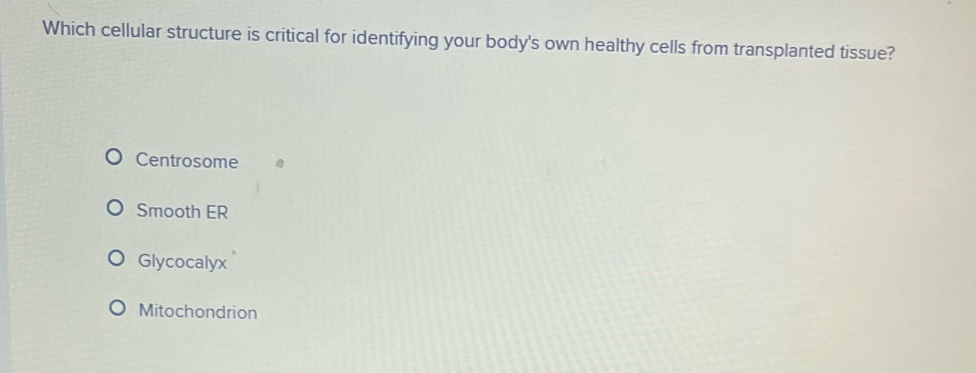 Which cellular structure is critical for