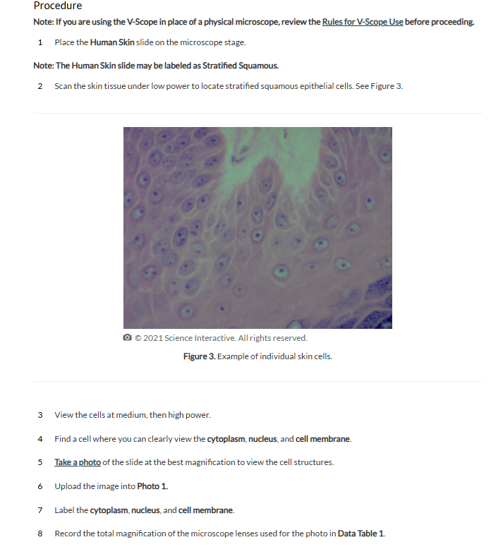 figure out the lab Procedure Note: If you are