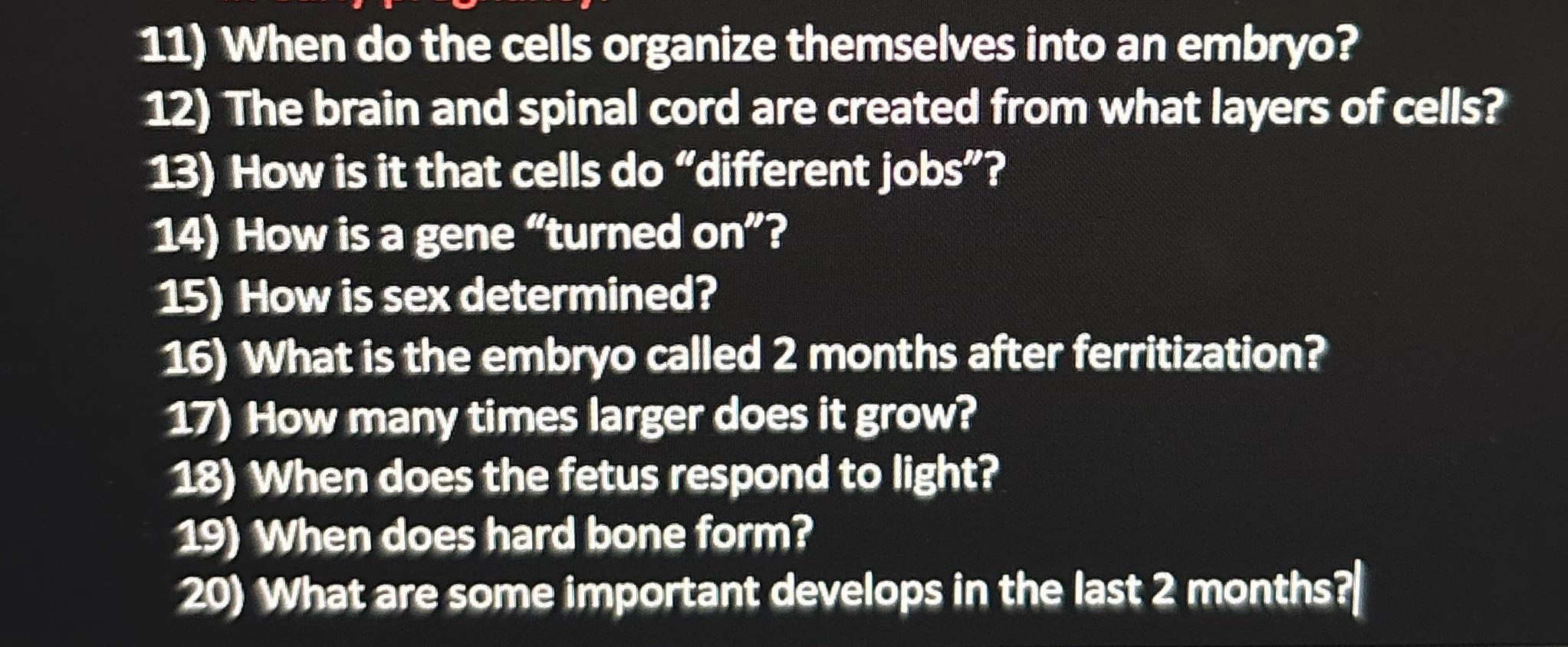 11) When do the cells organize themselves into an