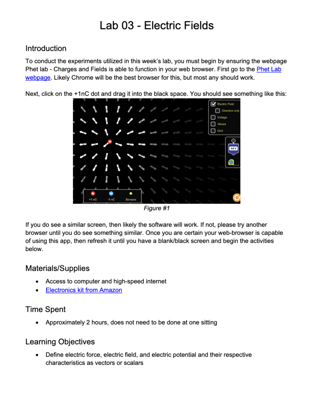 Introductory to Physics: LAB 3 Instructions: