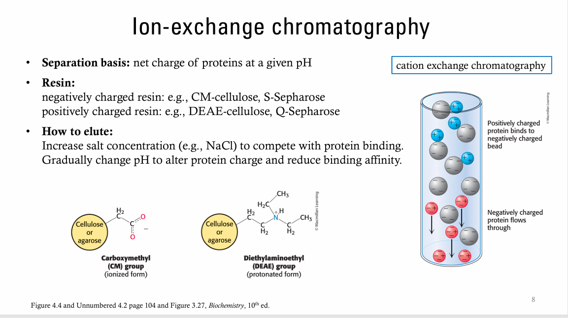 explain simple words lon-exchange chromatography
