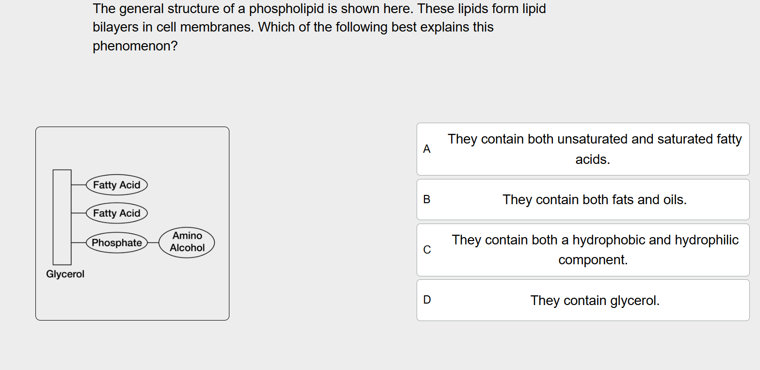 answer The general structure of a phospholipid is