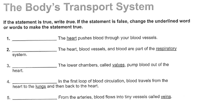 Solve this The Body's Transport System If the