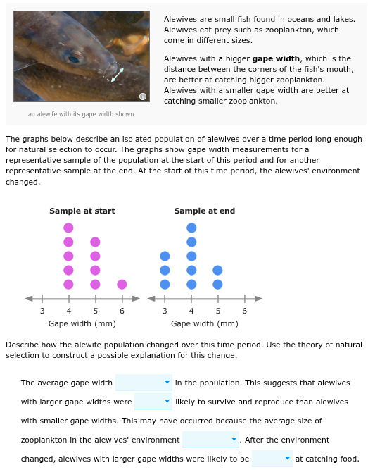 answer Alewives ar small fish found in oceans and