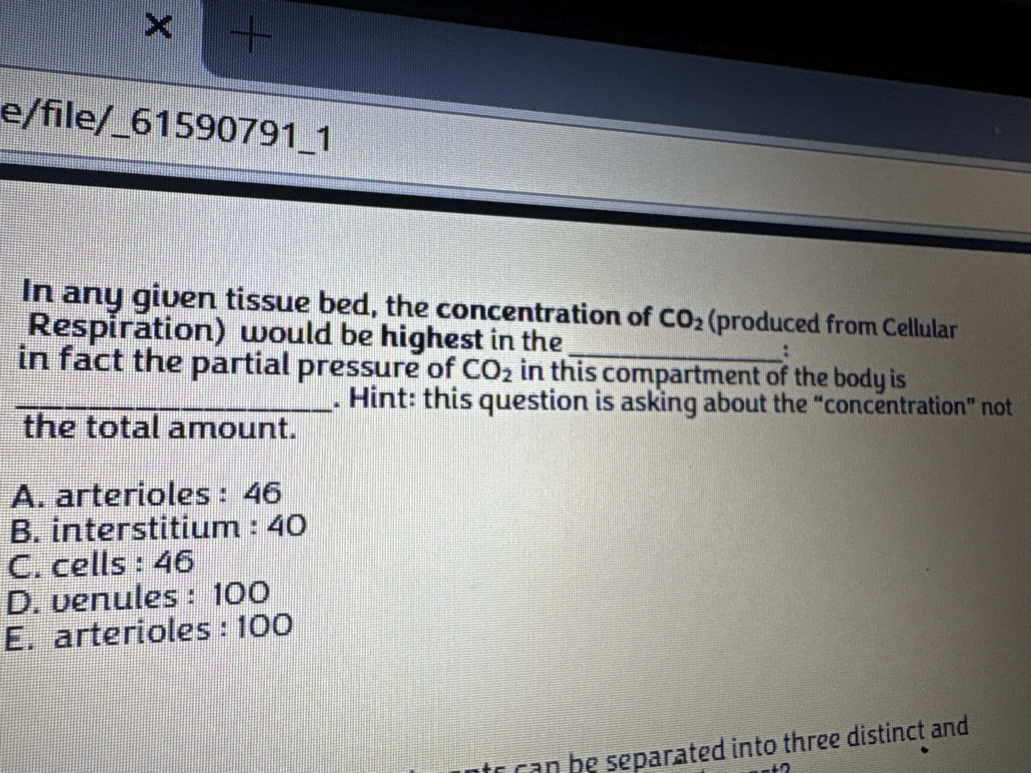 Which is correct answer X e/file/_61590791 1 In