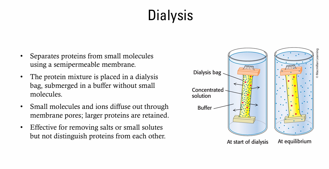 explain simple words Dialysis Separates proteins