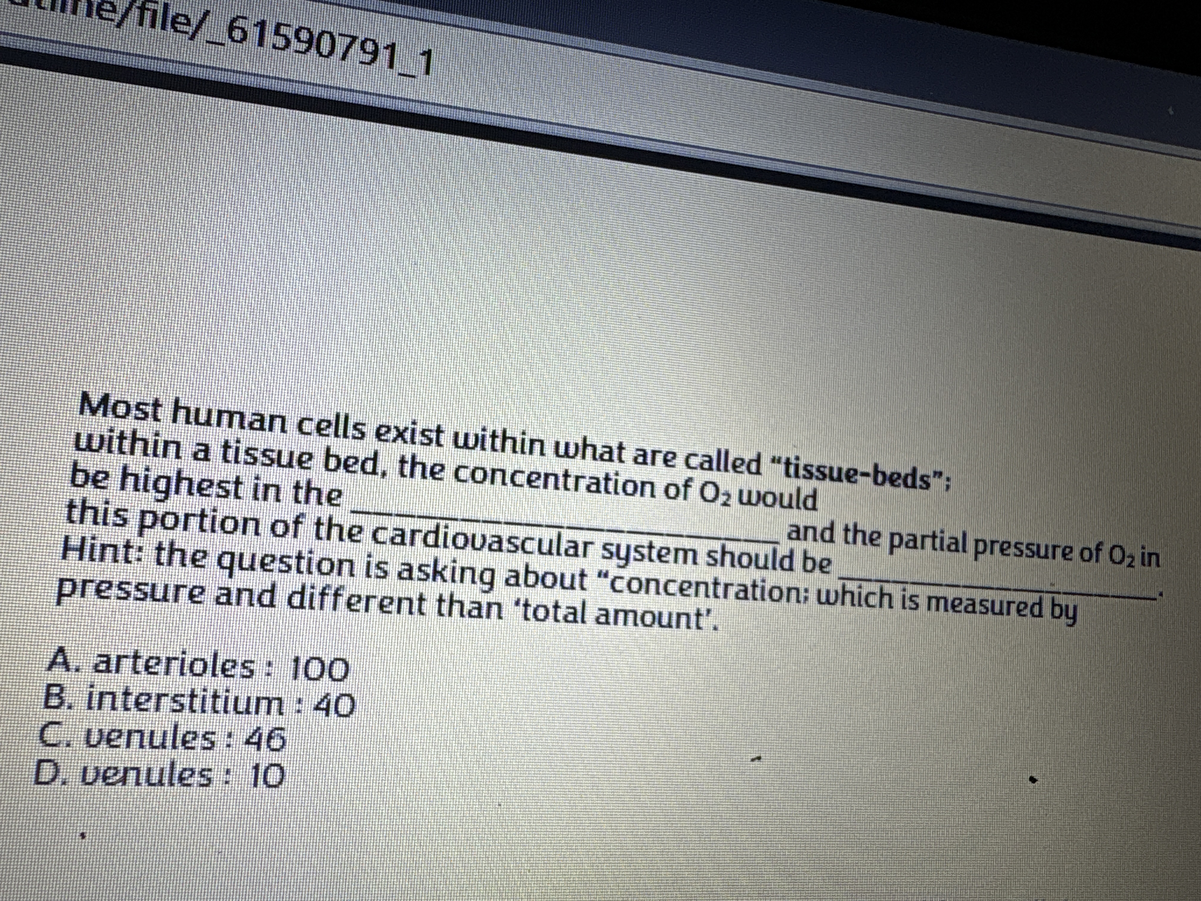 Which is correct he/e/_61590791 1 Most human