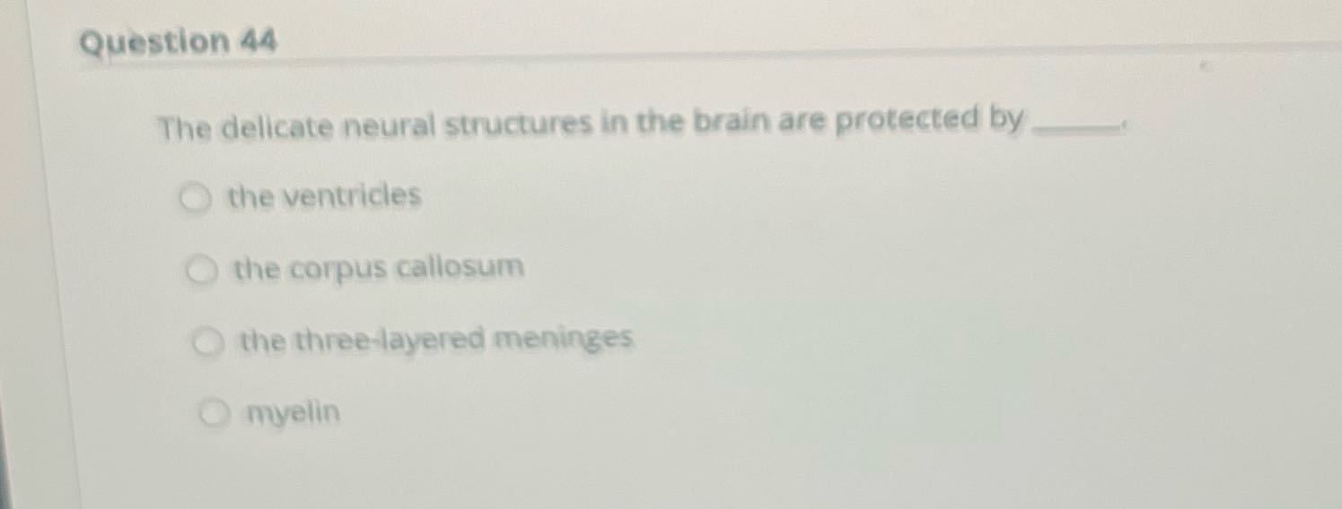 Question 44 The delicate neural structures in the