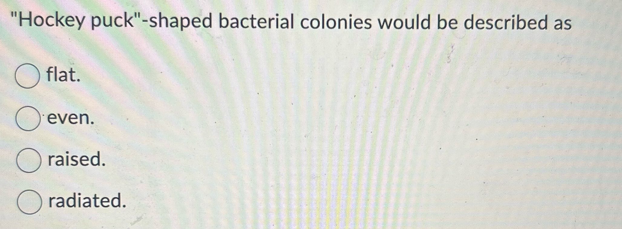 "Hockey puck"-shaped bacterial colonies would be