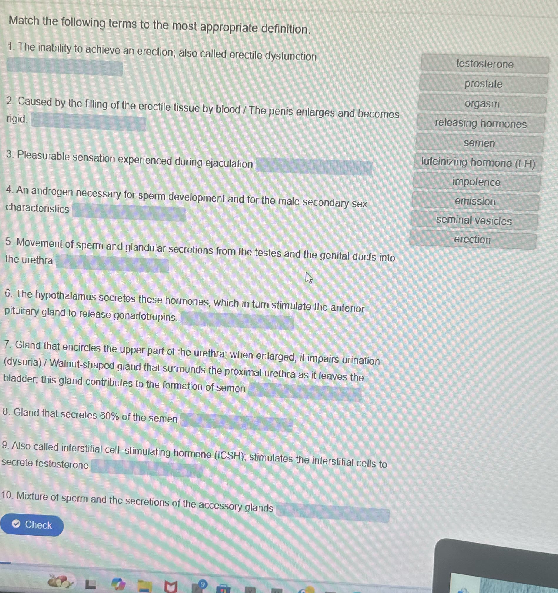 Match the following terms to the most appropriate