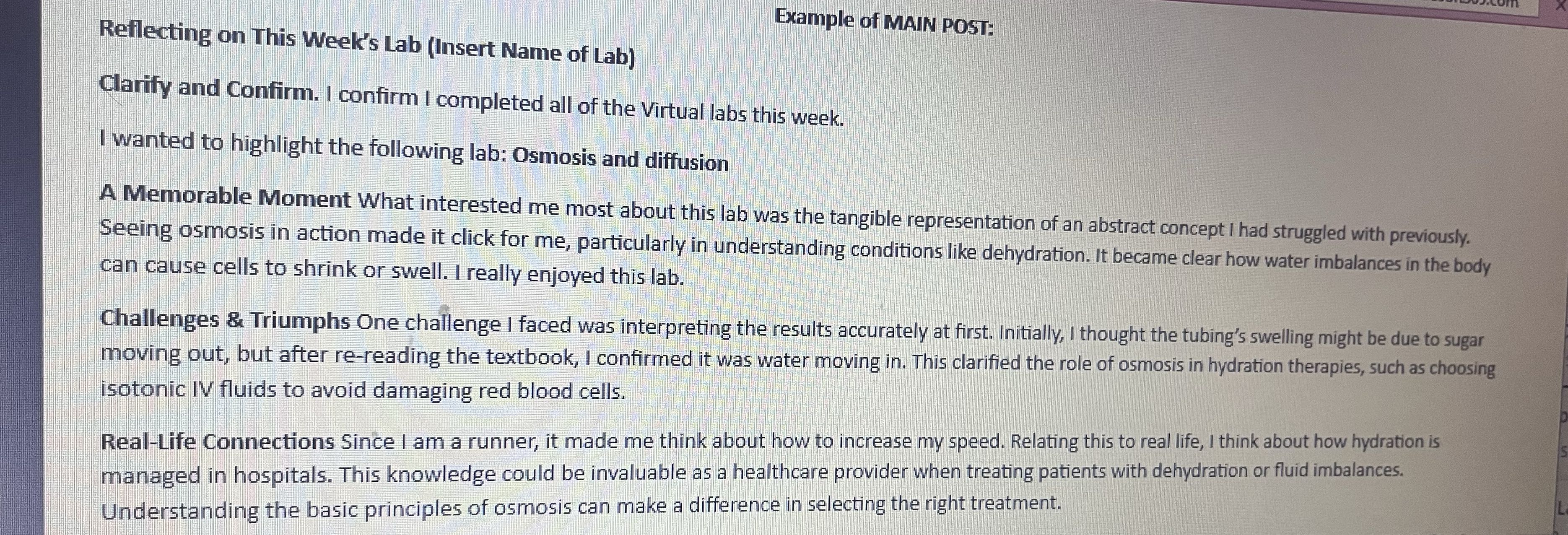 Essay and reference Example of MAIN POST: