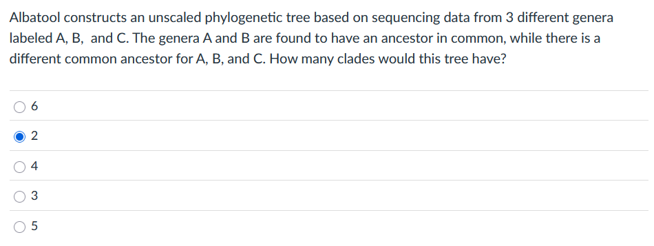 solve Albatool constructs an unscaled
