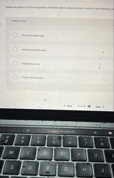 Spatial perception and the recognition of