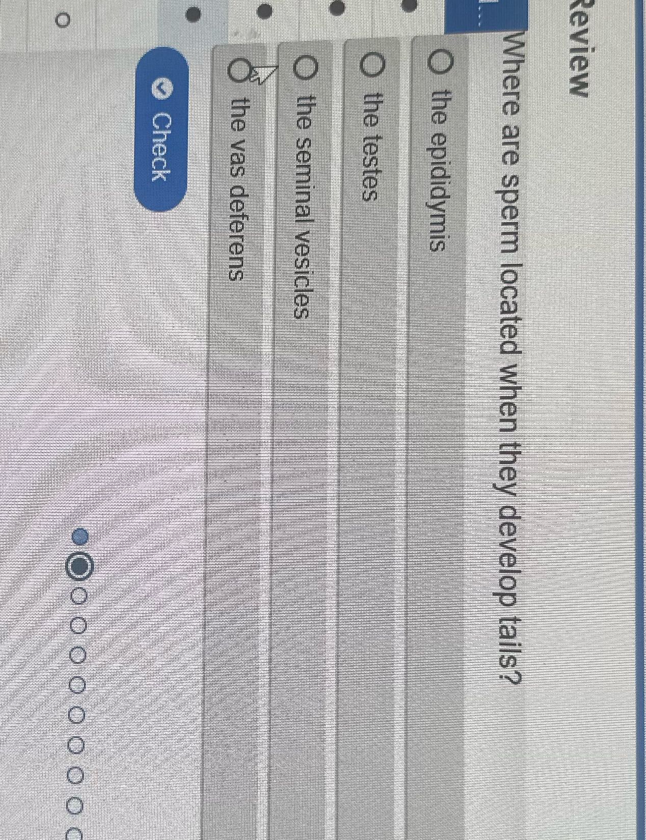 Review Where are sperm located when they develop