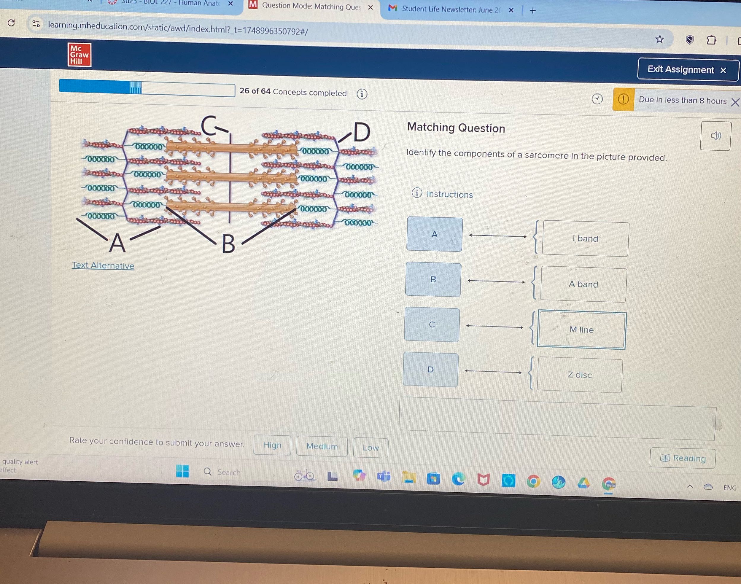 Human Anato X M Question Mode: Matching Ques X M