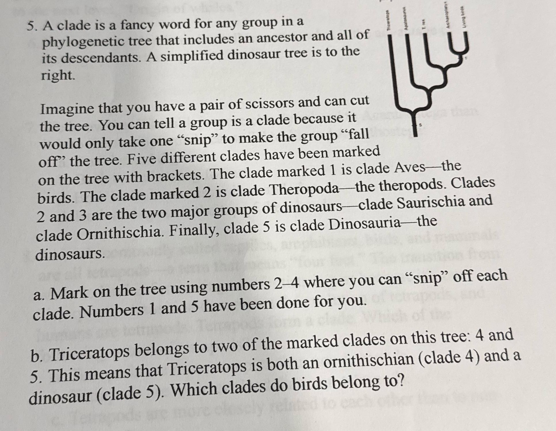 5. Aclade is a fancy word for any group ina