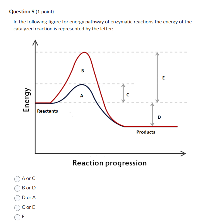 can you answer this Question 9 (1 point) In the