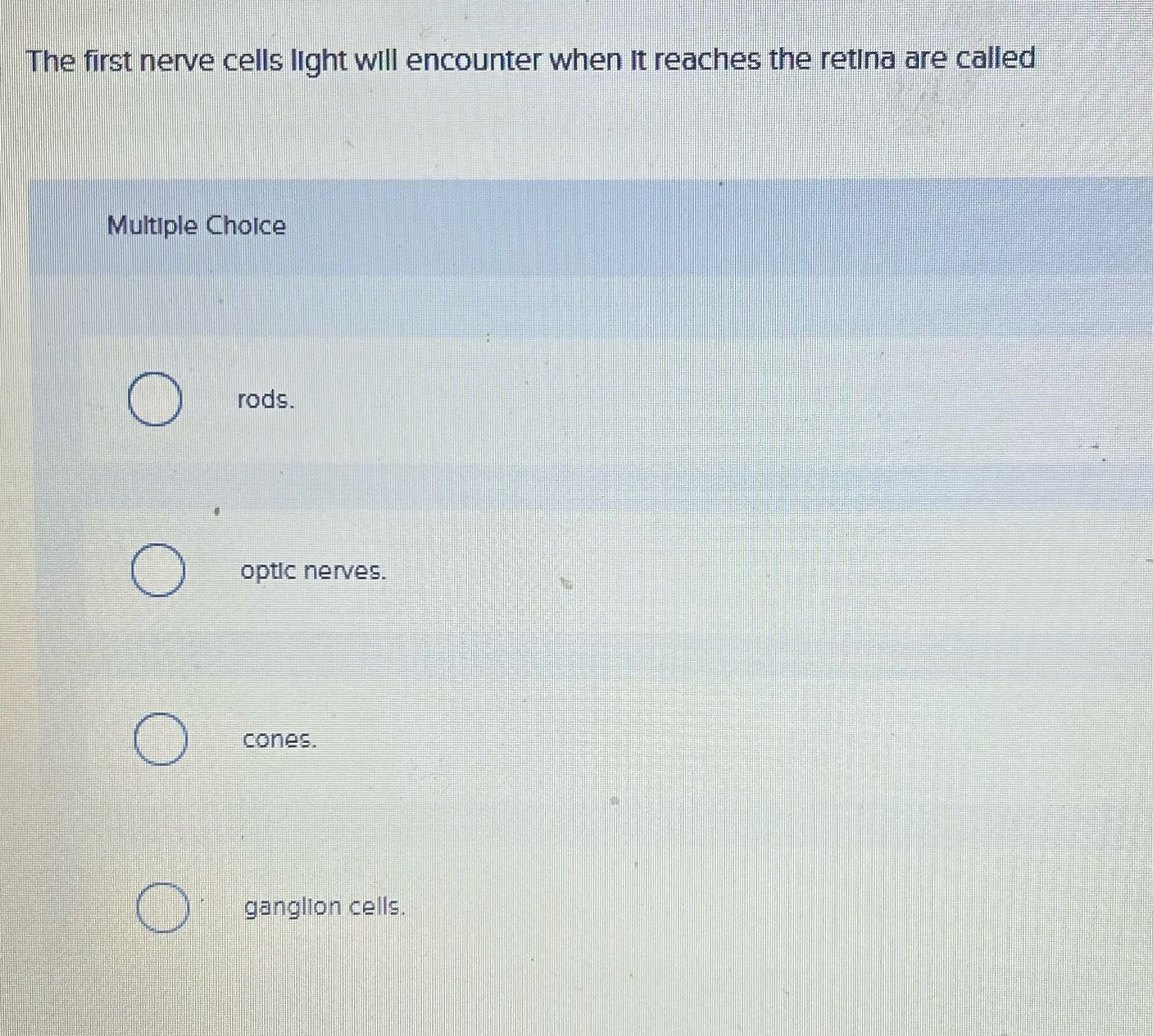 The first nerve cells light will encounter when
