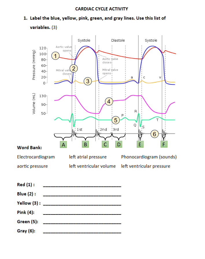 Can you help me with these questions please.