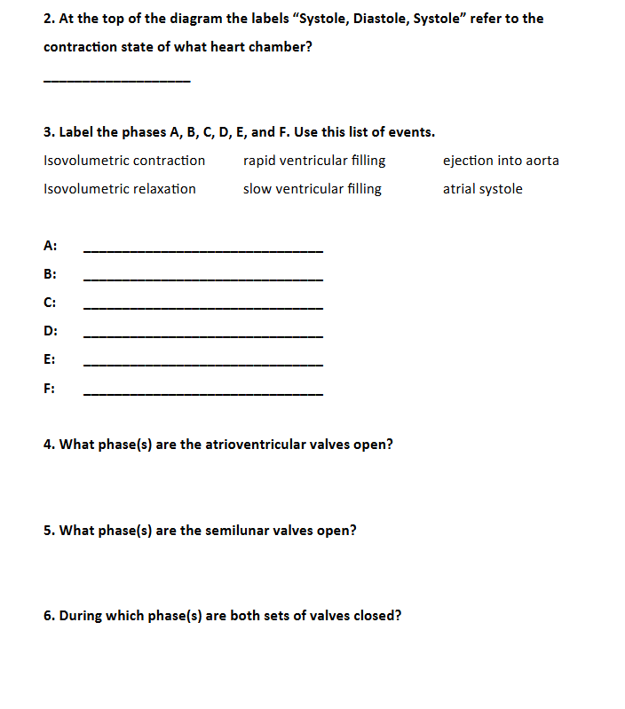 Can you help me with these questions please.