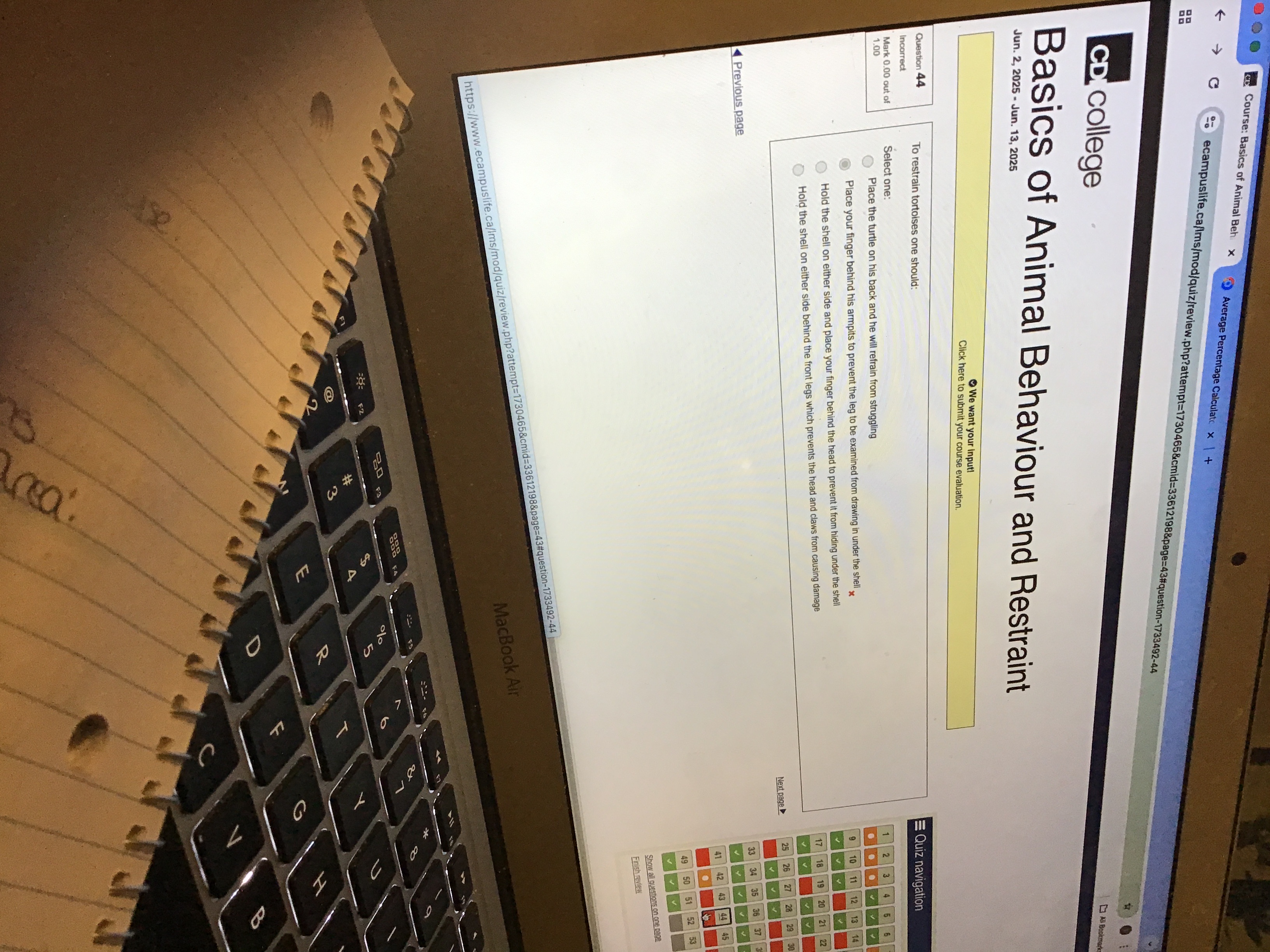 Correct option & Course Basics of ay mal Beh, x <