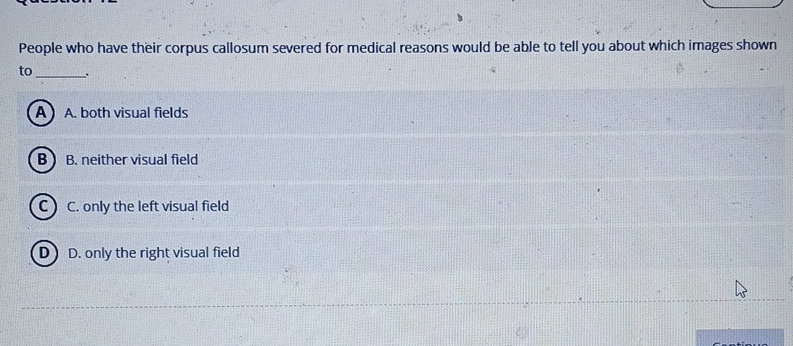 People who have their corpus callosum severed for