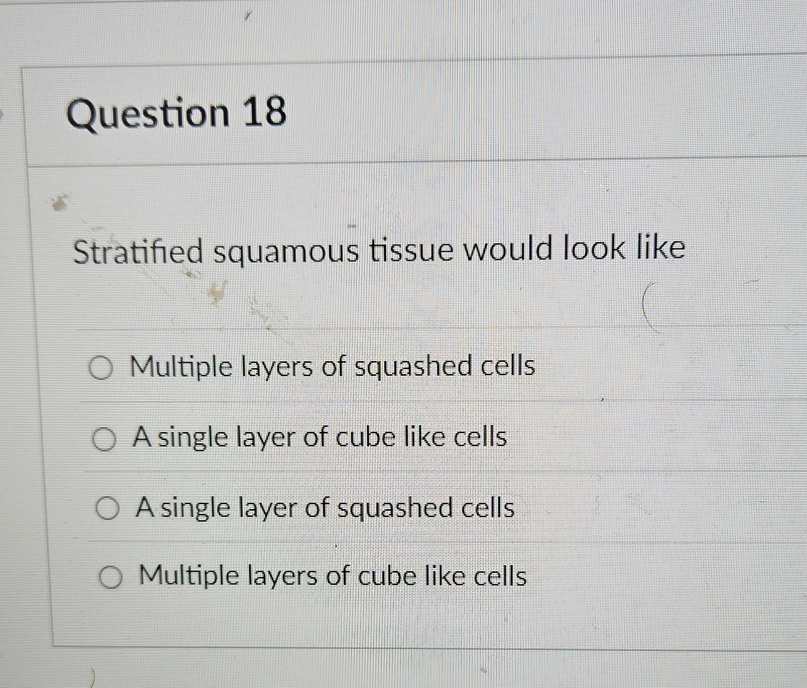 Question 18 Stratified squamous tissue would look