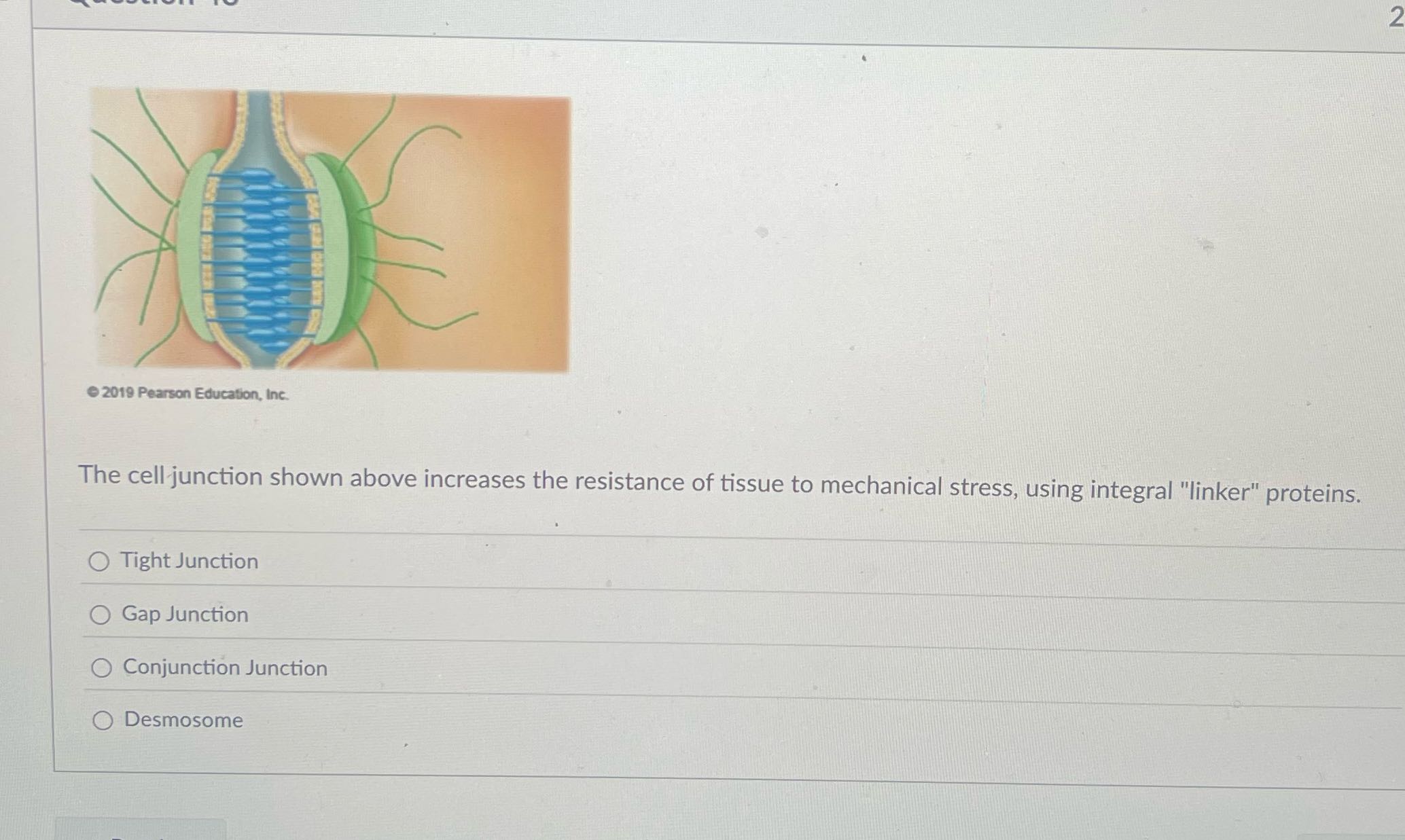 Solve 2019 Pearson Education, Inc. The cell
