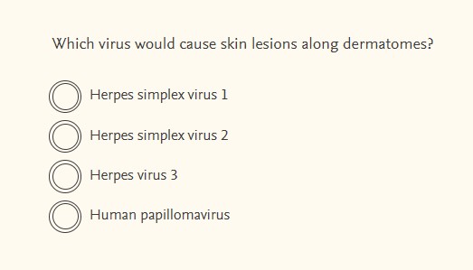 answer this Which virus would cause skin lesions