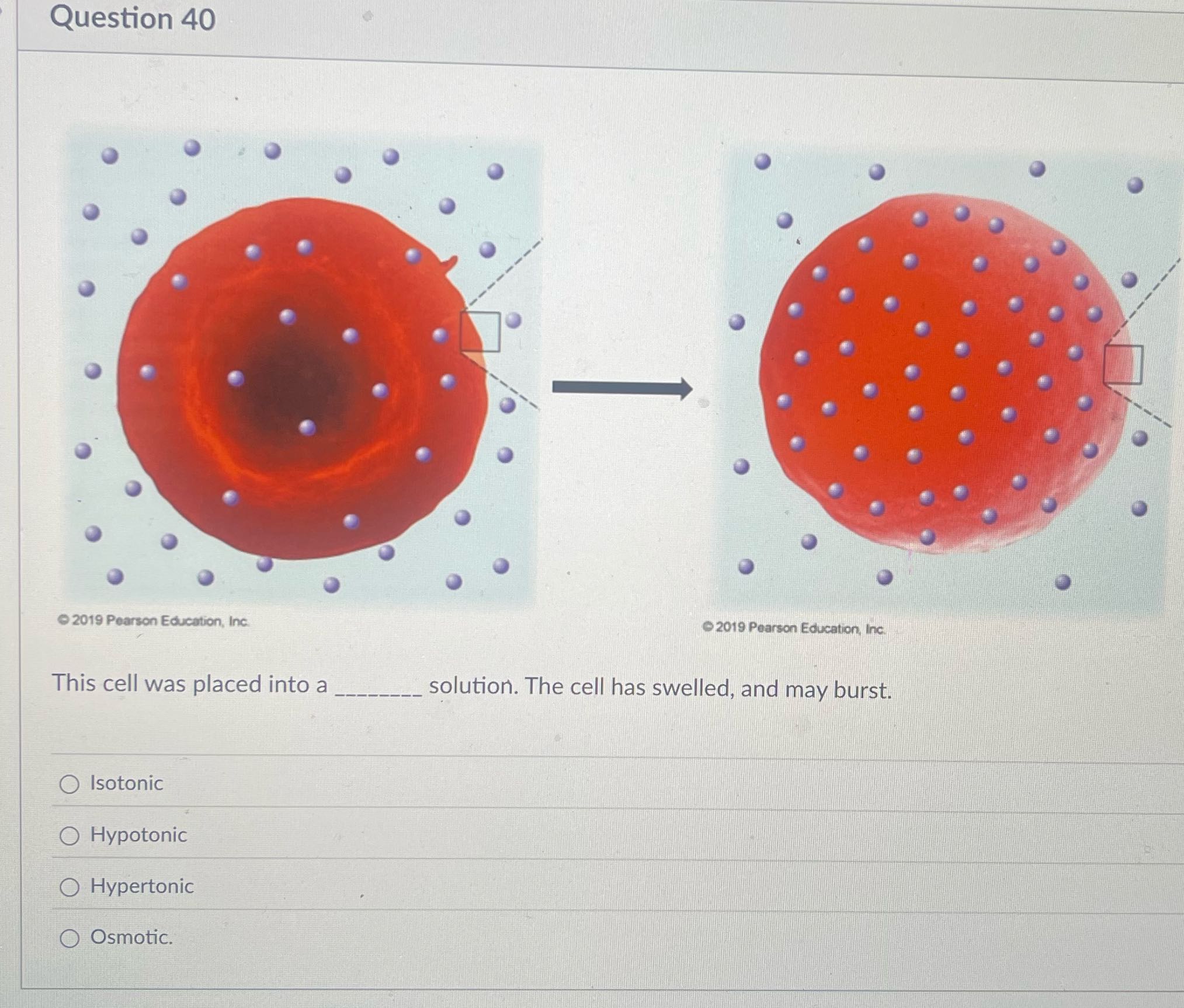 Solve Question 40 2019 Pearson Education, Inc.