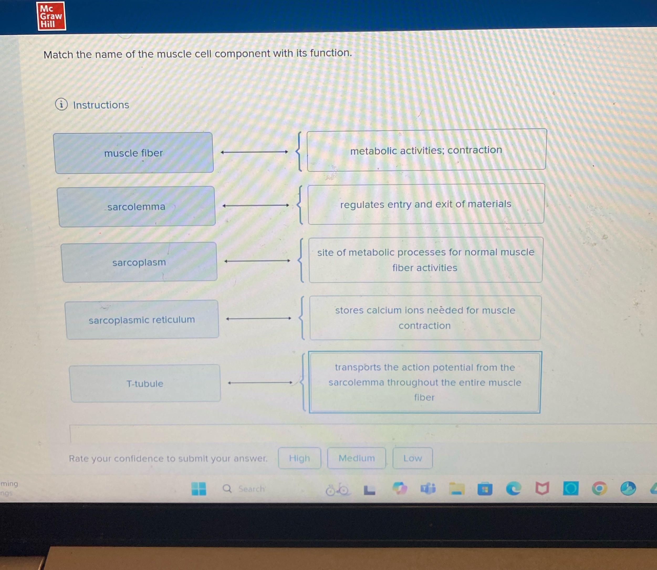Mc Graw Hill Match the name of the muscle cell