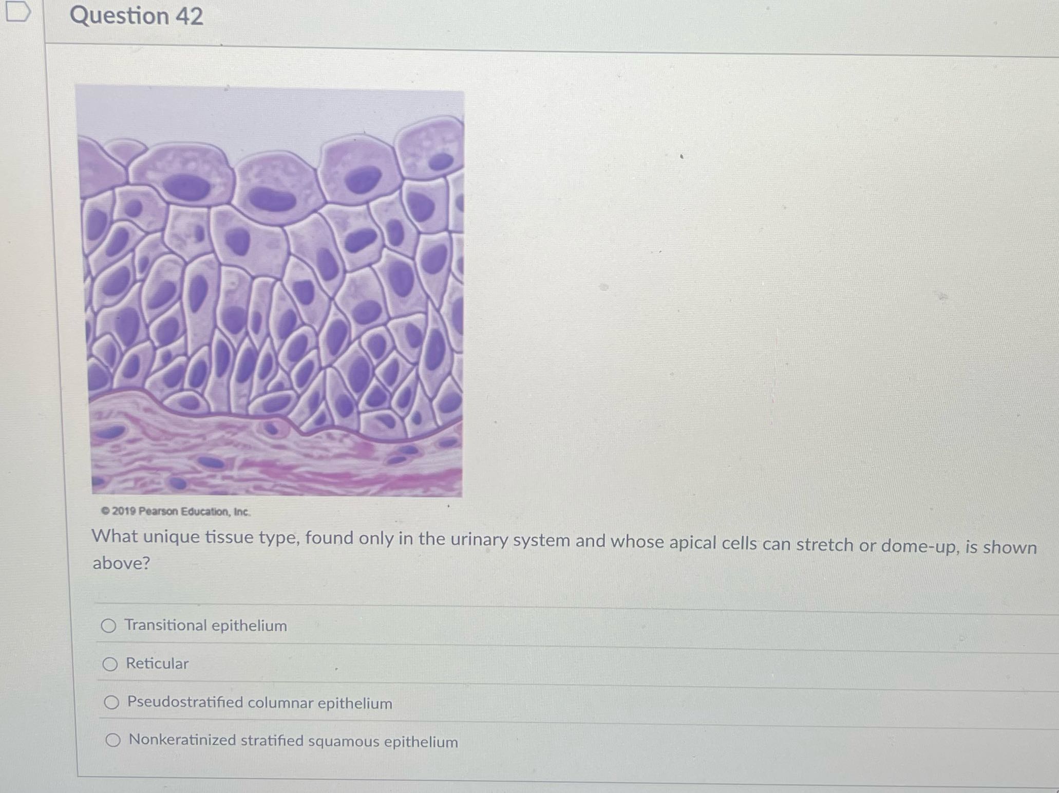 Solve it D Question 42 2019 Pearson Education,