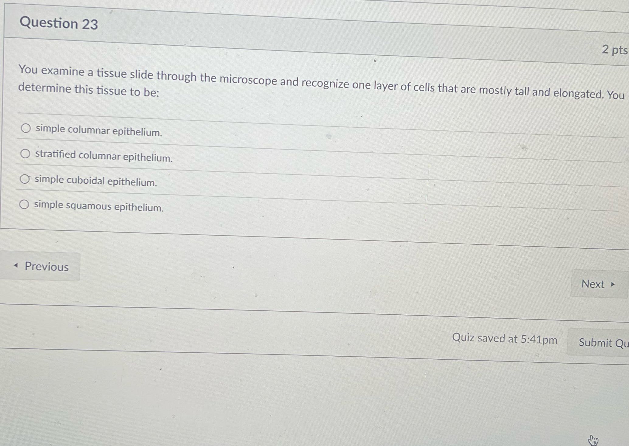 Solve Question 23 2 pts You examine a tissue
