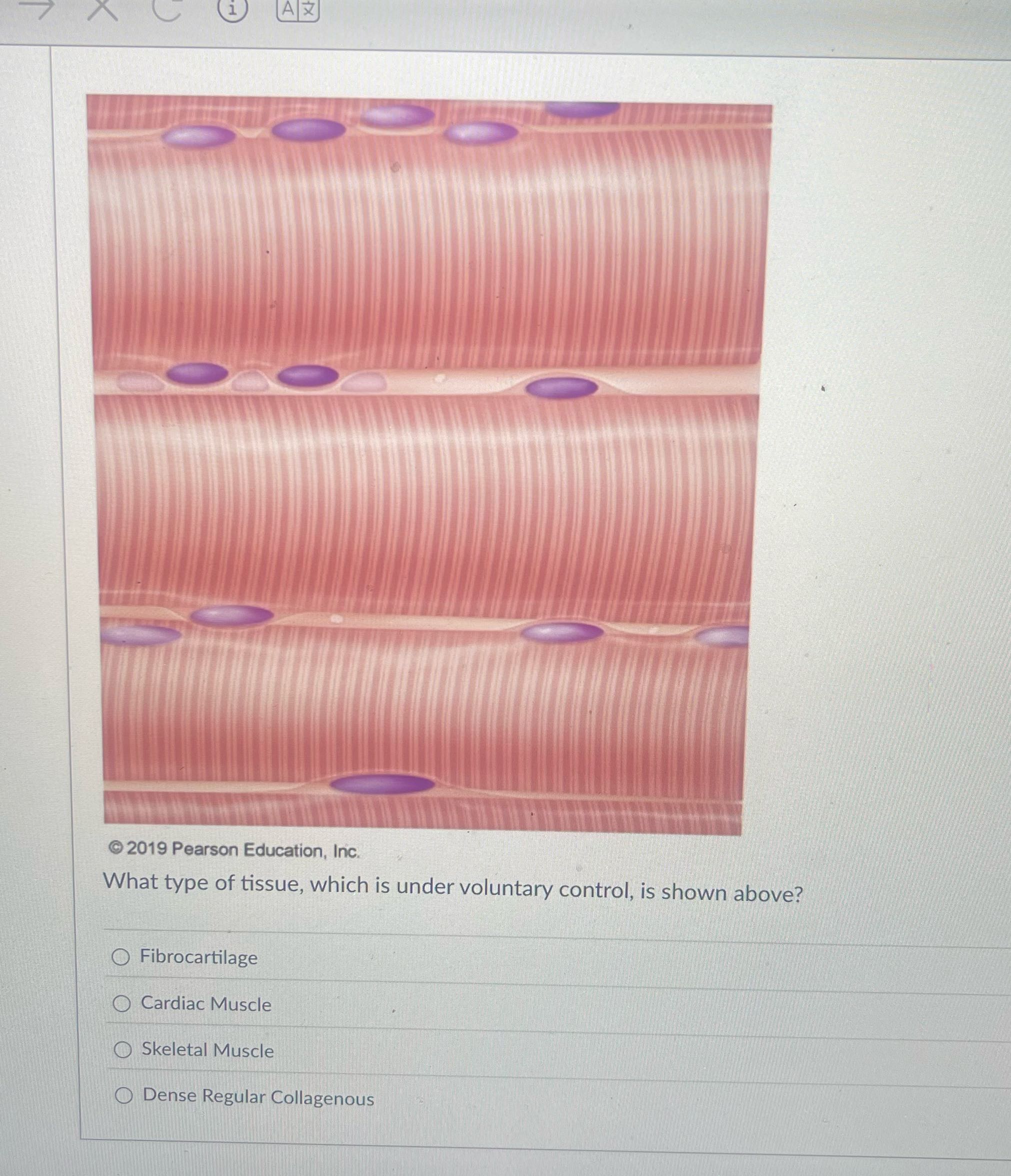 Solve it A x 2019 Pearson Education, Inc. What