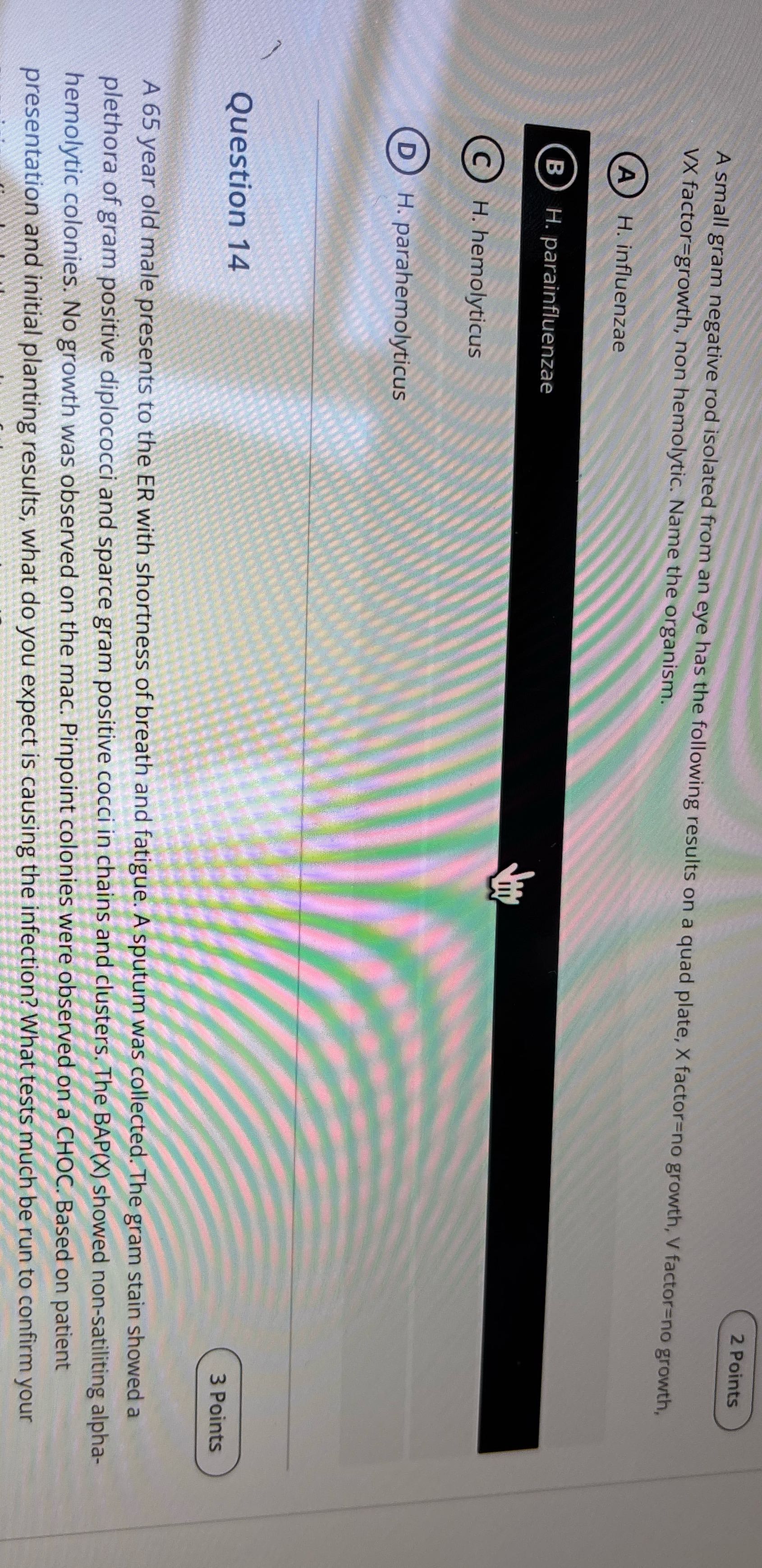 2 Points A small gram negative rod isolated from