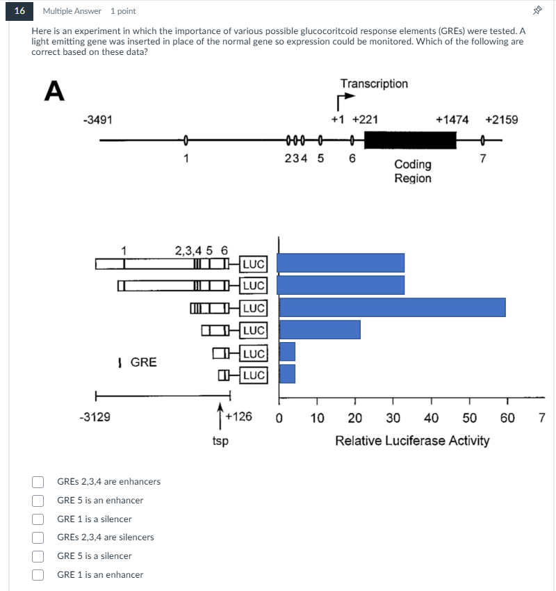 help me please 16 Multiple Answer 1 point Here is