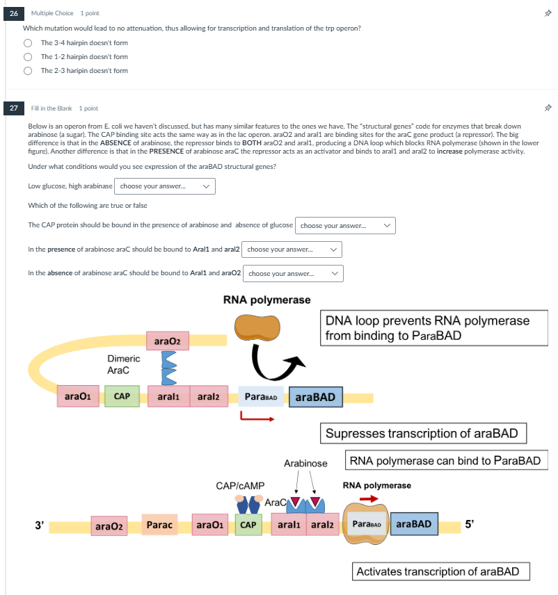 help me please 26 Multiple Choice 1 point Which