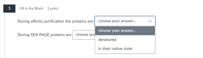 help me please 5 Fill in the Blank 1 point During