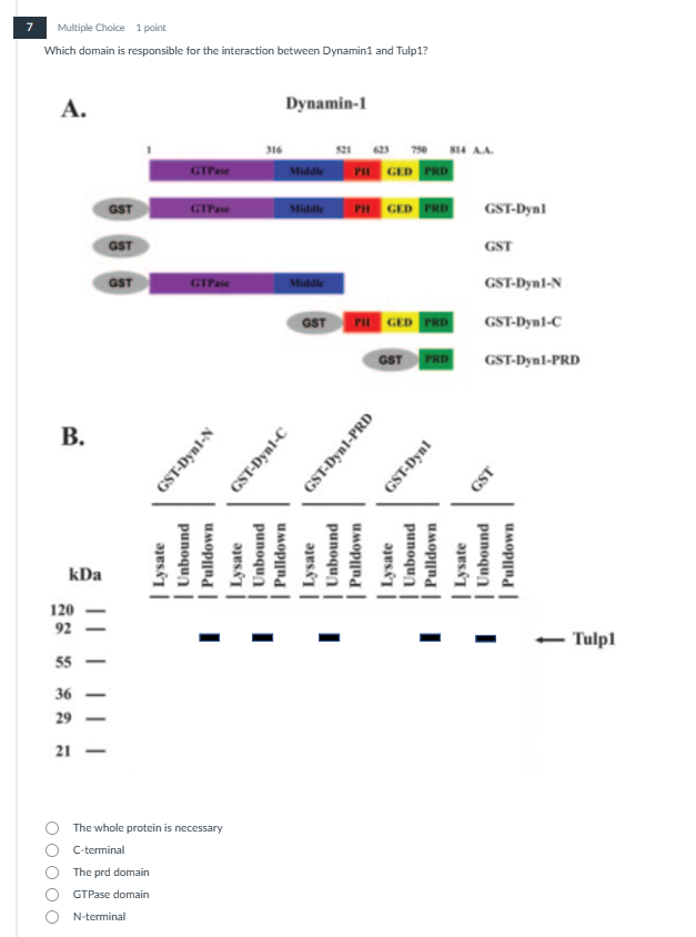 help me please 7 Multiple Choice 1 point Which