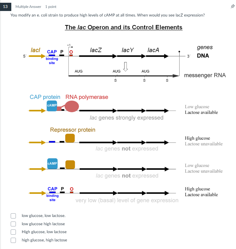 help me please 13 Multiple Answer 1 point You