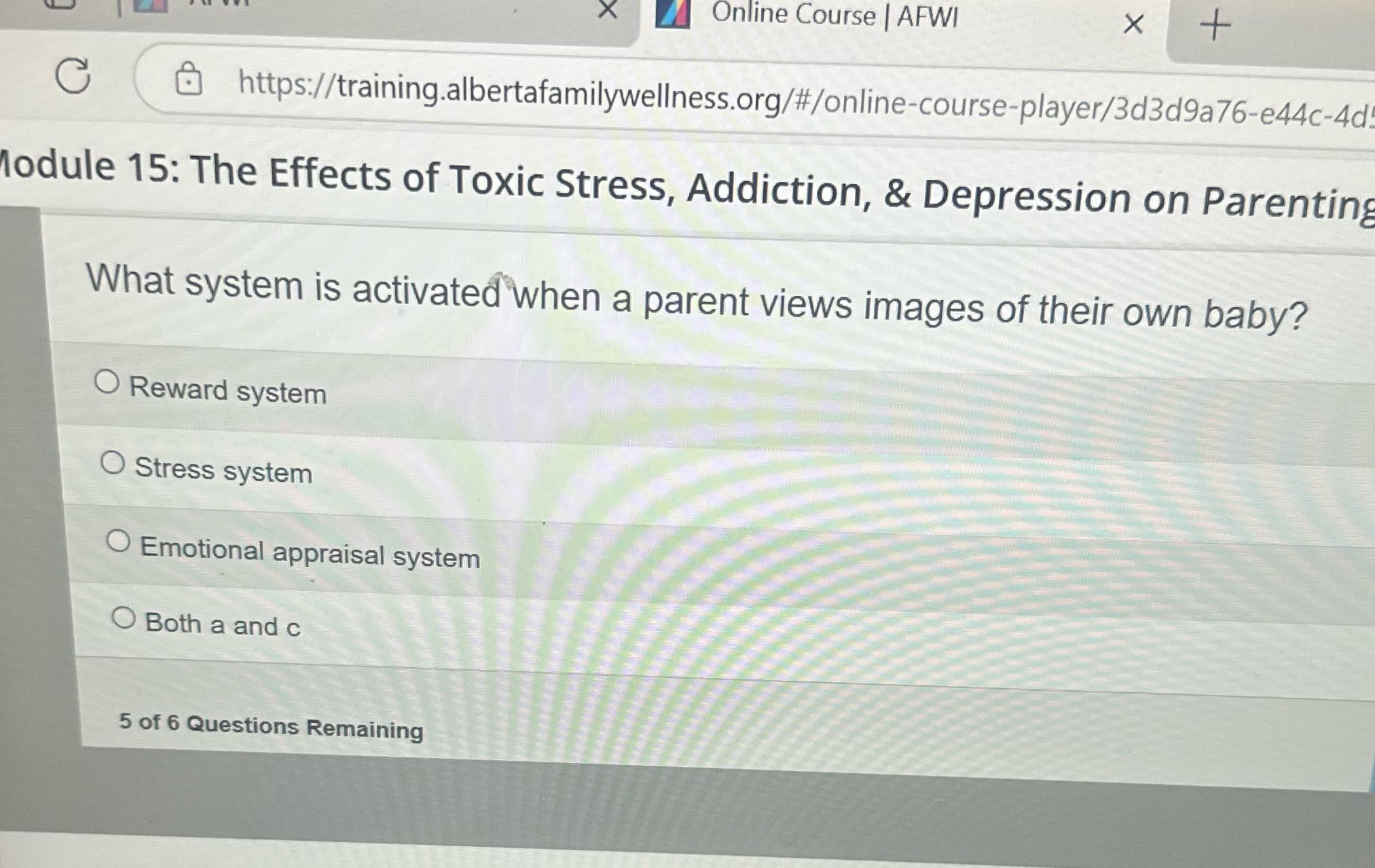 Online Course | AFWI X C